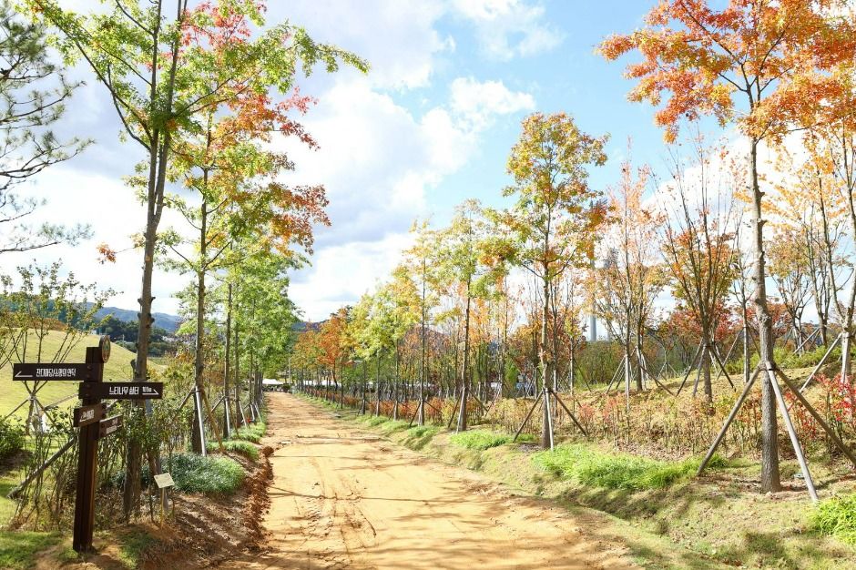 충주 시민의 숲