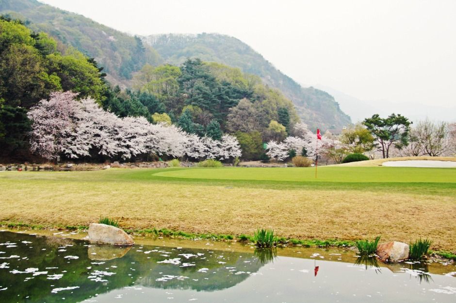 파크밸리골프클럽