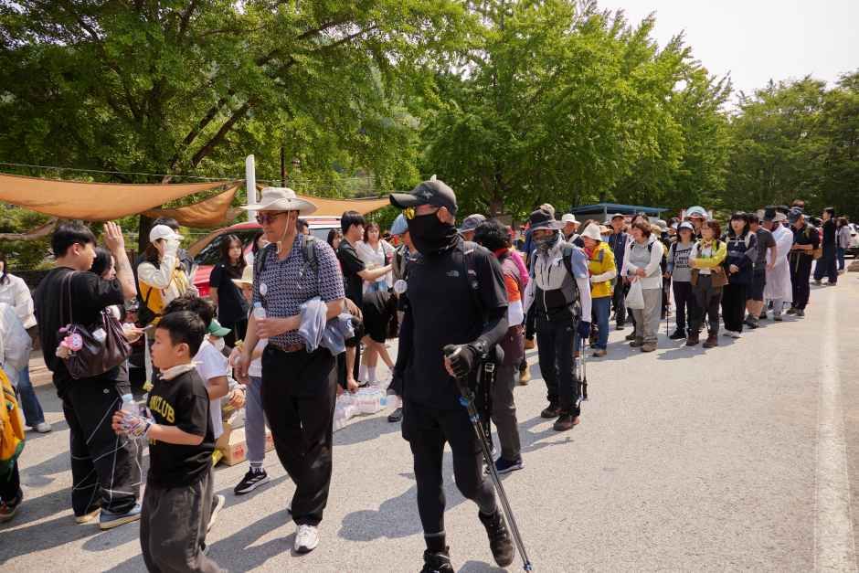 thumbnail-영주 소백산 철쭉제-3