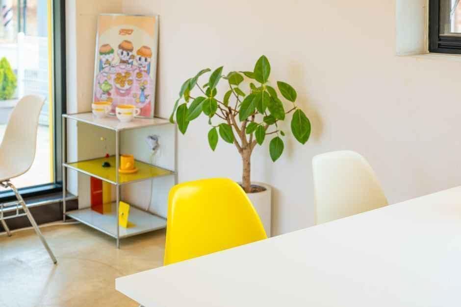 thumbnail-강화까까-19