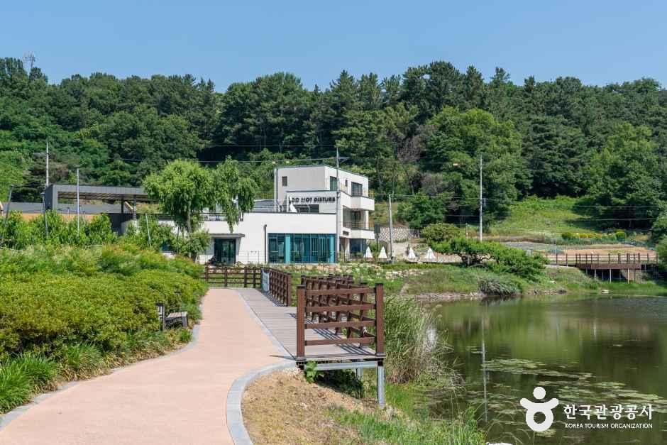thumbnail-반곡지-13