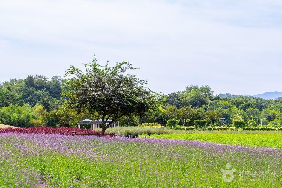 thumbnail-Nari Farm (나리농원)-12