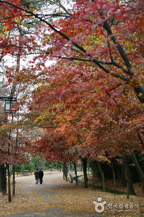 Busosanseong Fortress of Buyeo (부여 부소산성)