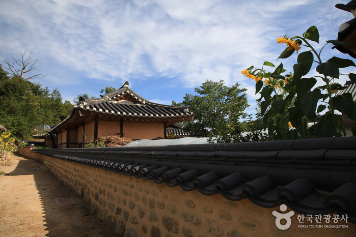 Yeongju Museom Village (영주 무섬마을)