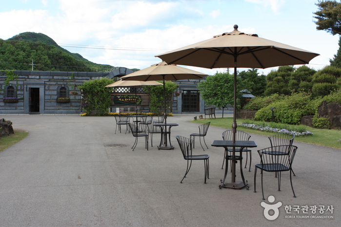 The Botanical Garden BCJ (Byeokchoji) (벽초지 문화수목원)