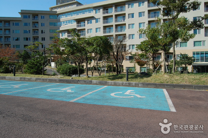 Hanwha Resort - Jeju (한화리조트 - 제주)