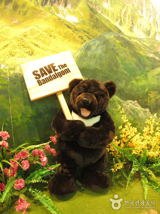 Teddy Bear Museum (테디베어뮤지엄 제주)