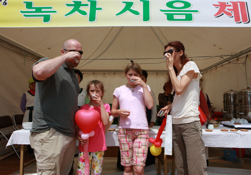 Boseong Green Tea Festival (보성 다향제)