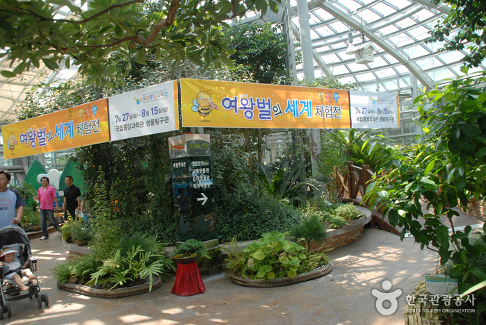 National Science Museum (국립중앙과학관)