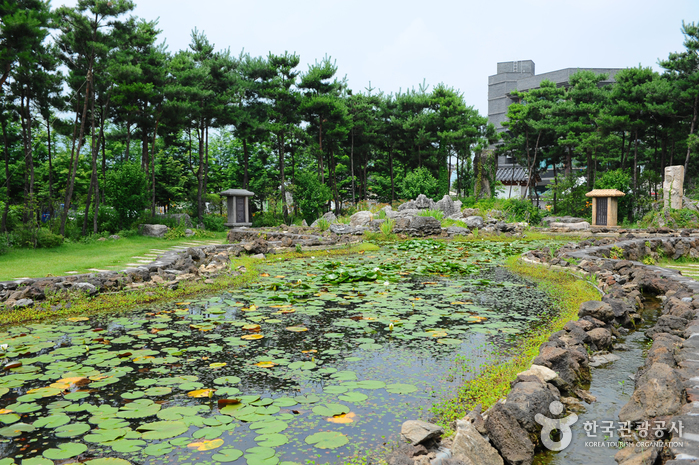 세미원 사진43