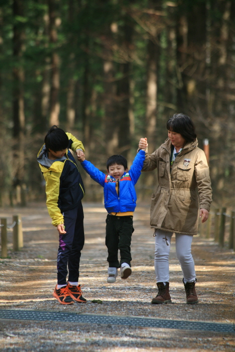 540년 된 숲, 가족과 함께 걷다. 포천 국립수목원
