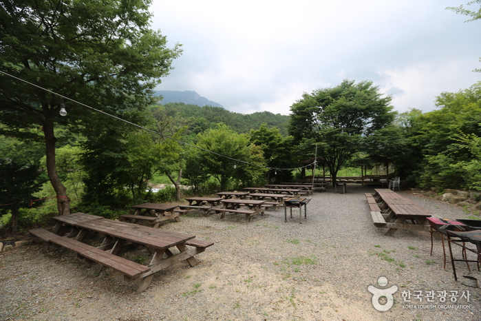 월악펜션빌 고갱의집0