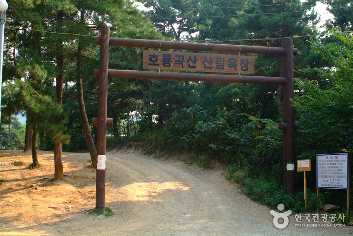 무의도 사진5