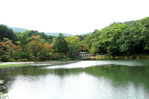 국립수목원(광릉숲) 사진21