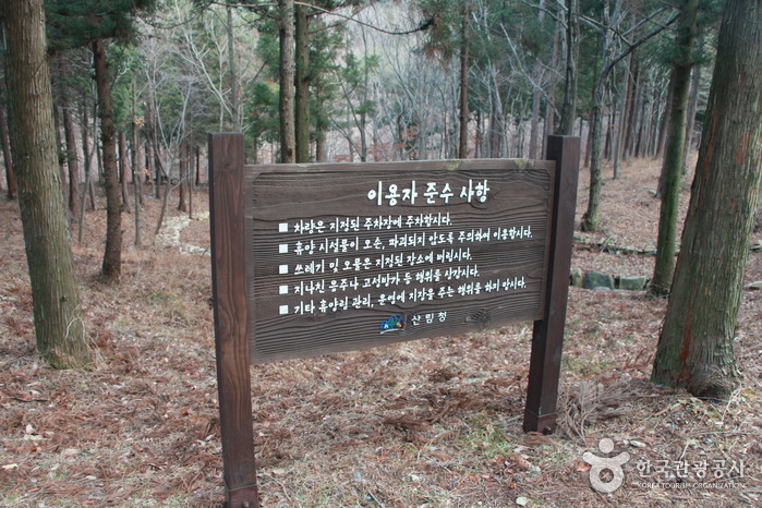 Nationaler Erholungswald Namhae Pyeonbaek (국립 남해편백자연휴양림)
