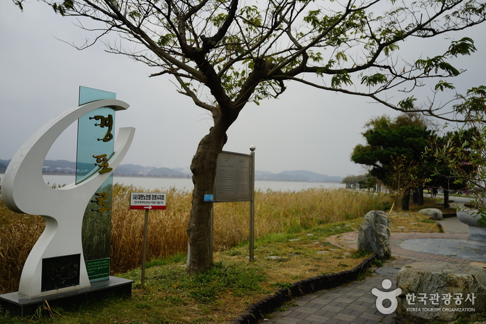 경포호(철새도래지) 사진5