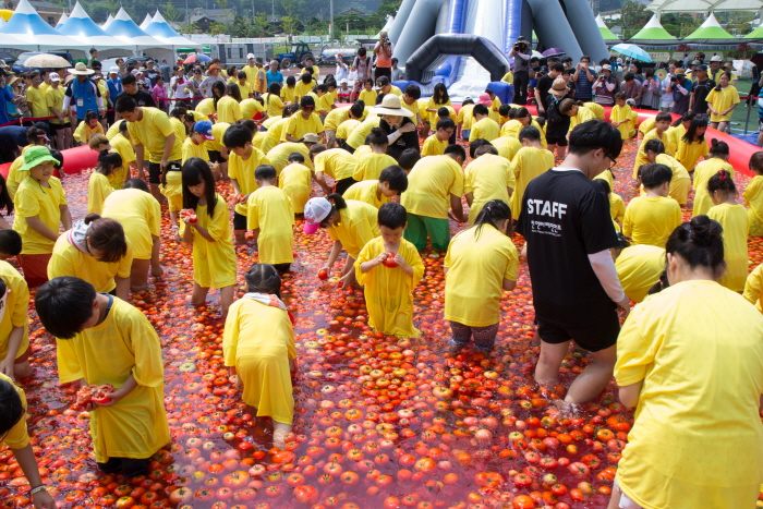 둔내고랭지토마토축제 2017 사진6