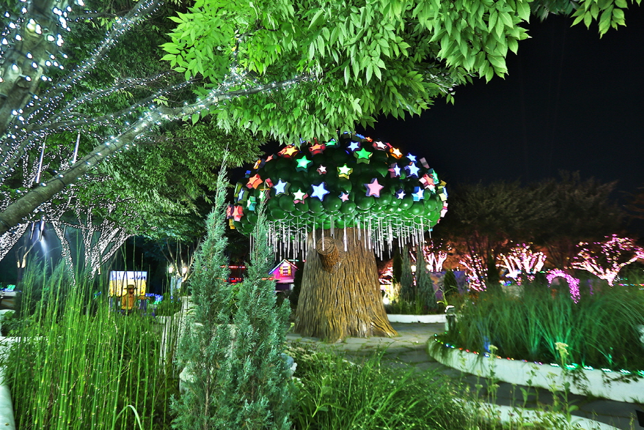 청도 프로방스 빛축제3