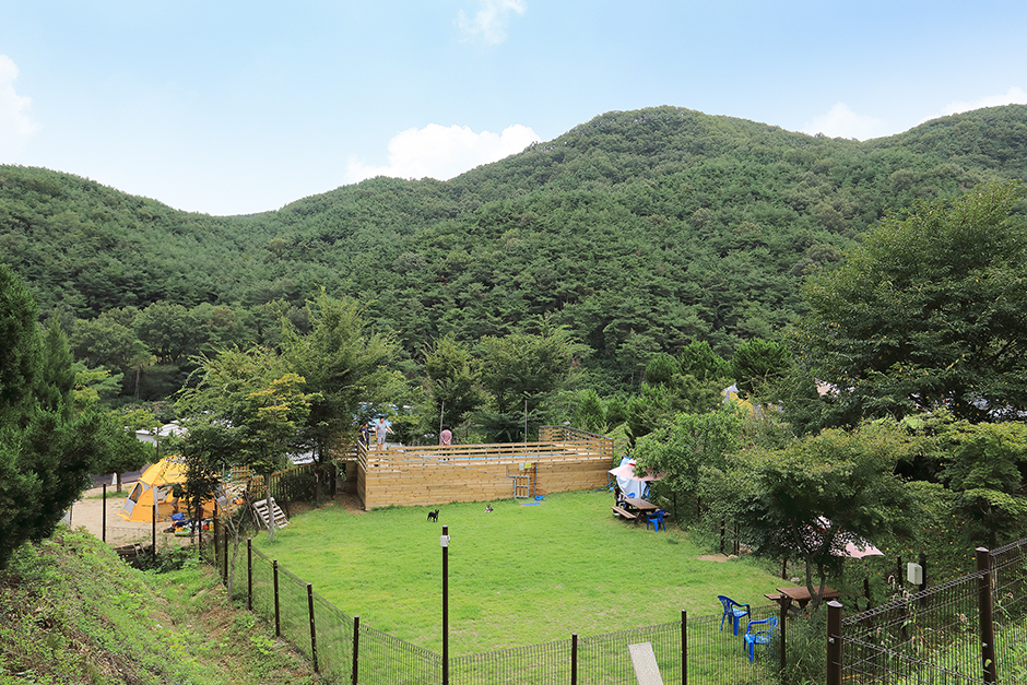 트리독스 애견전용캠핑장1