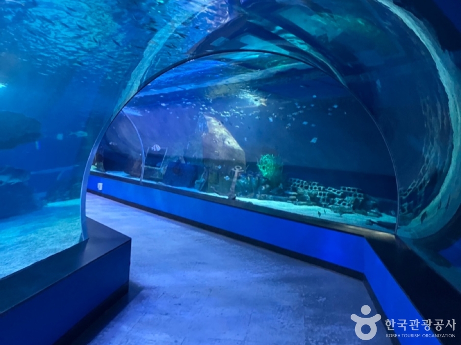 SEA LIFE Busan Aquarium (SEA LIFE 부산아쿠아리움)