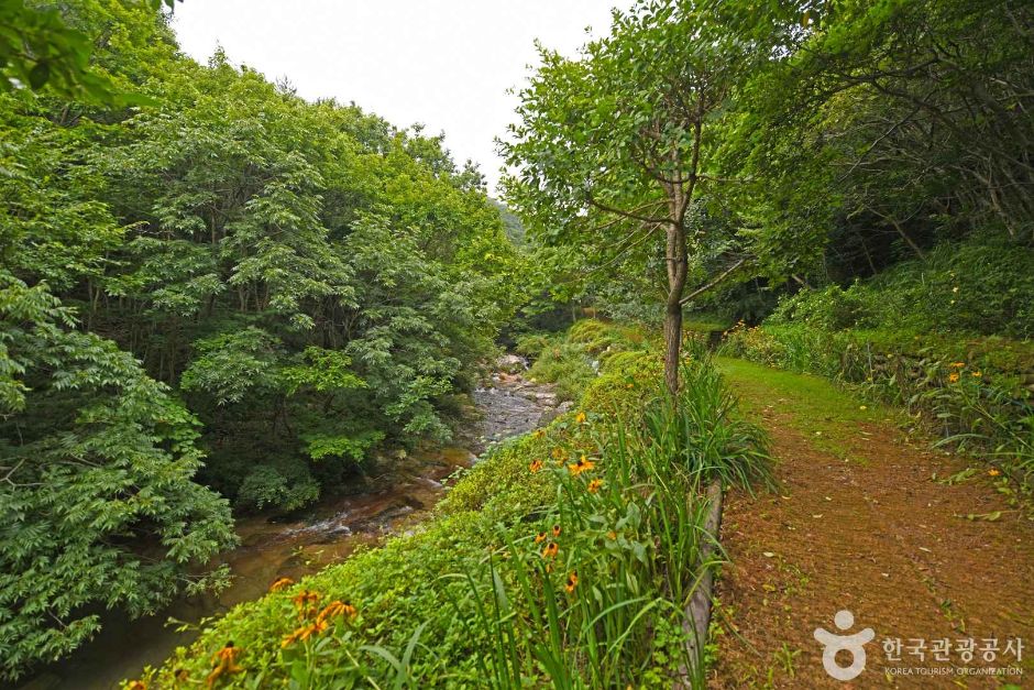 전남_고흥_거금생태숲 (7)