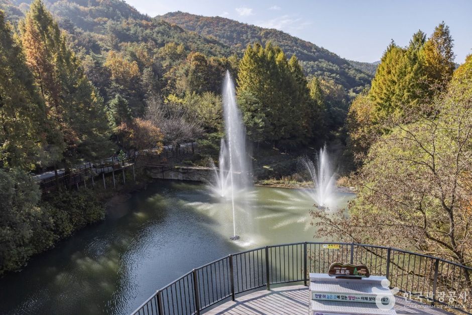 米东山树木园（미동산수목원）