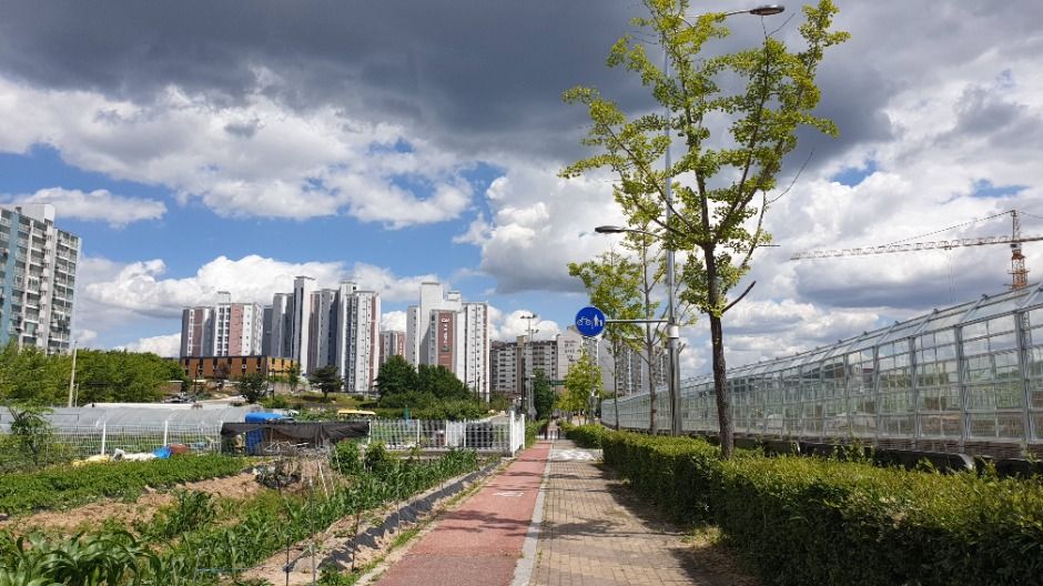 [경기옛길 삼남길 제6길] 화성효행길