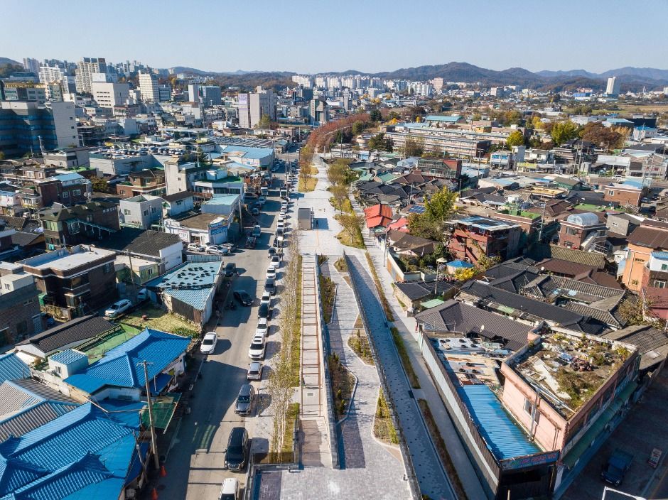 원주_치악산 바람숲길 (2)
