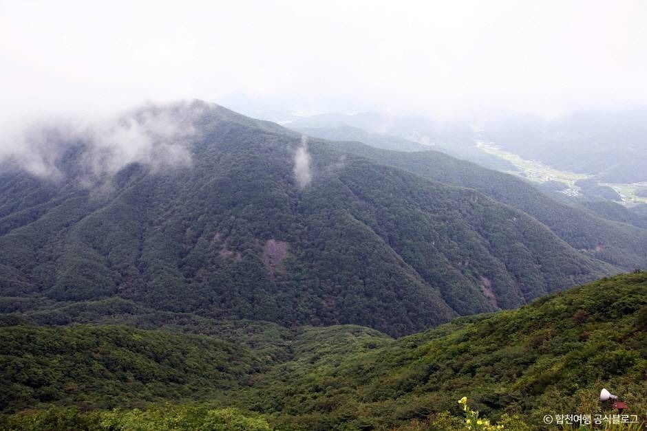오도산