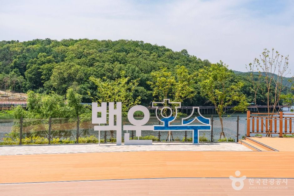 백운호수