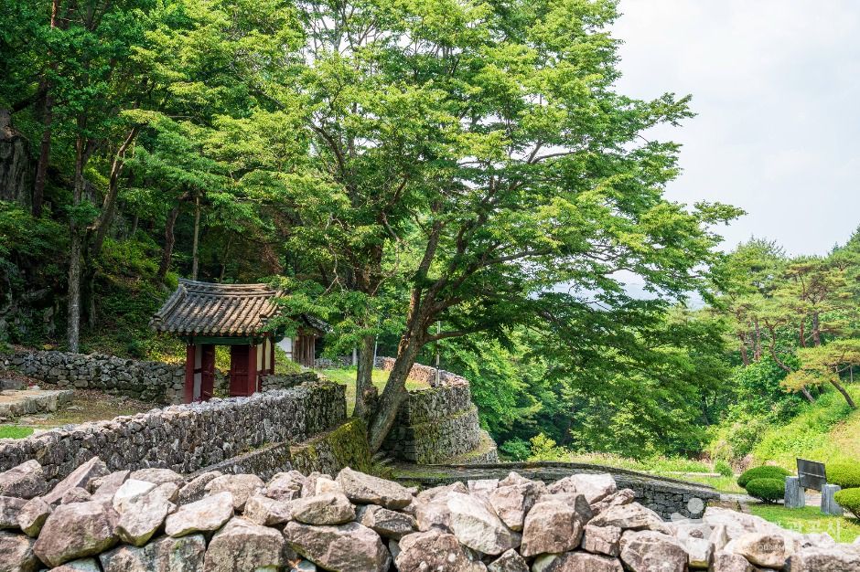 산청 전 구형왕릉