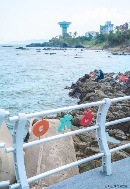 경주 바다 여행 가볼만한곳_읍천항_3-2