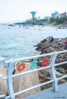 경주 바다 여행 가볼만한곳_읍천항_3-2