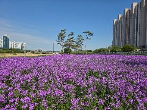 영천_영천생태지구공원 (2)