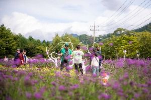 2025 인제가을꽃축제 7