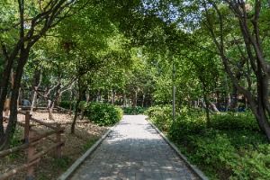 서울_양재근린공원 (6)
