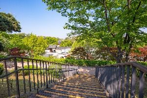 서울_현대원서공원 (2)