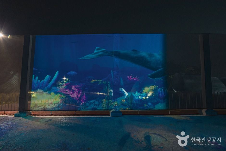 빛의 공원 미디어아트