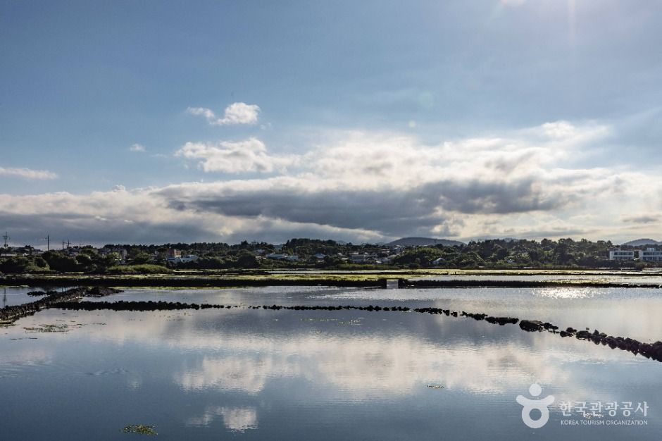 제주_오조포구 (6)
