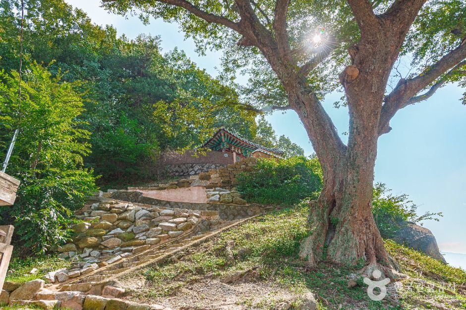 thumbnail-남계정-2