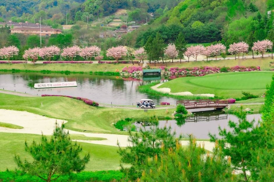 포천힐스컨트리클럽