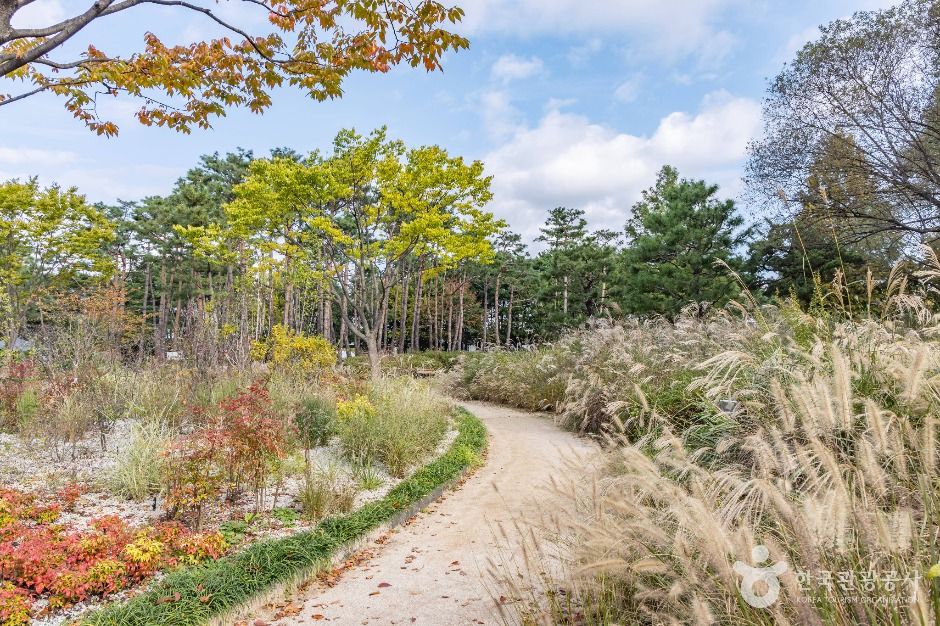 서울_서울창포원 (9)