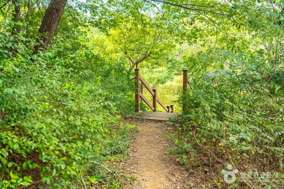 부천시_부천문화둘레길-소사내음길 (4)