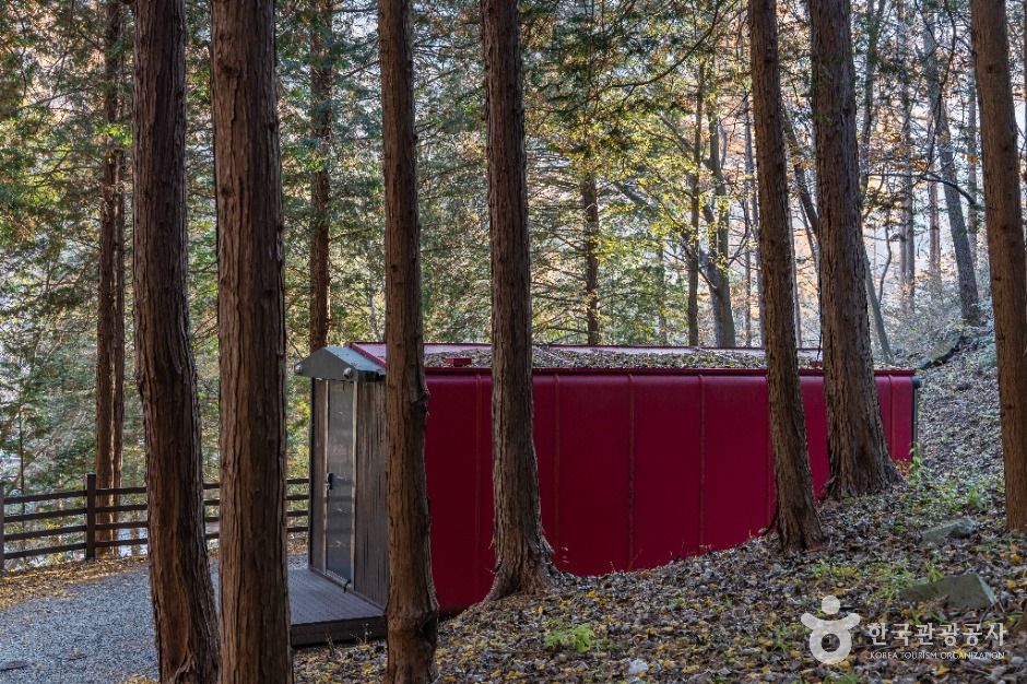 임실_왕의숲 국민여가캠핑장 (13)