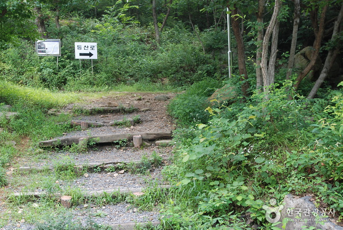 Jangnyeongsan Natural Forest (장령산자연휴양림)
