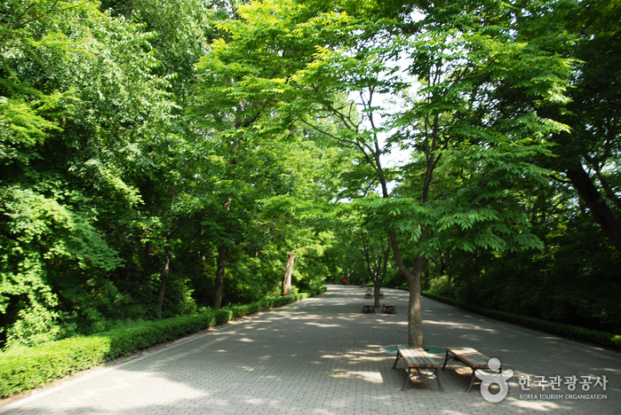 Korea National Arboretum and Forest Museum (국립수목원-구, 광릉수목원)