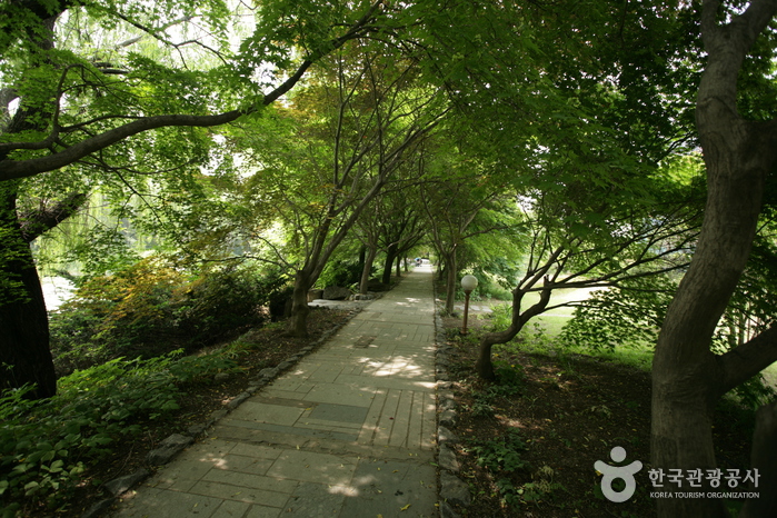 The Botanical Garden BCJ (Byeokchoji) (벽초지 문화수목원)