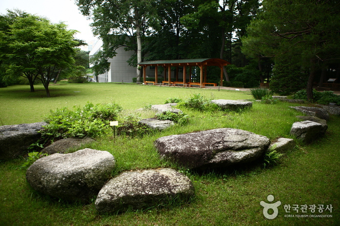 Hongneung Arboretum (홍릉수목원)