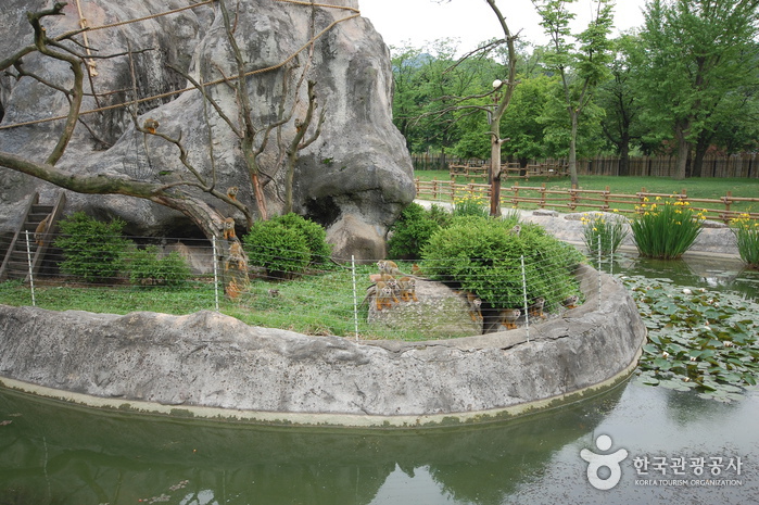 Seoul Grand Park (서울대공원-서울동물원)