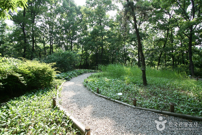 Ogeum Park (오금공원)